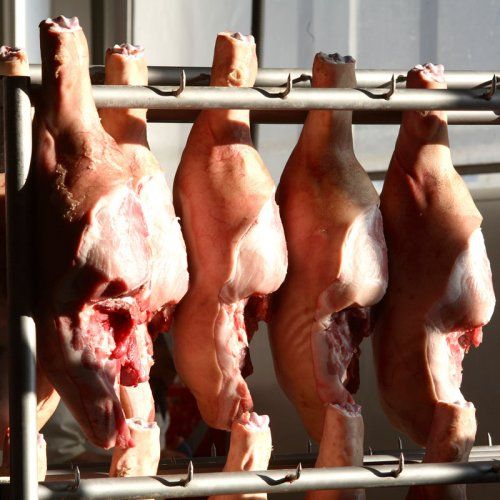 Distribución de carne en Coruña. Porcino