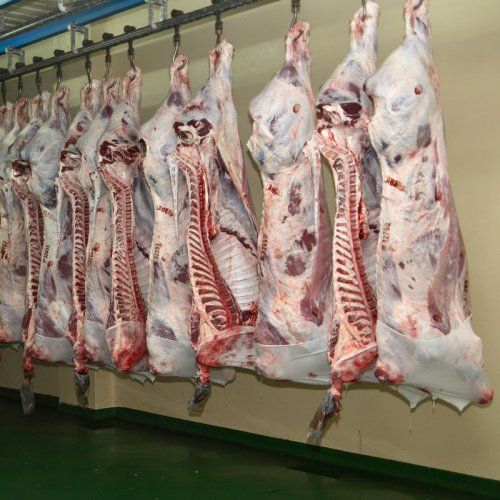 Distribución de carne en Coruña. Bovino